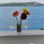 Rina شيبينيك