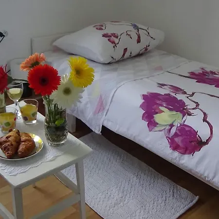 Rina Guest house 3*